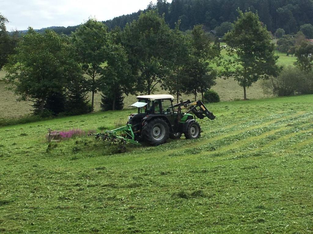 Mattenhof Zell am Harmersbach Exteriör bild