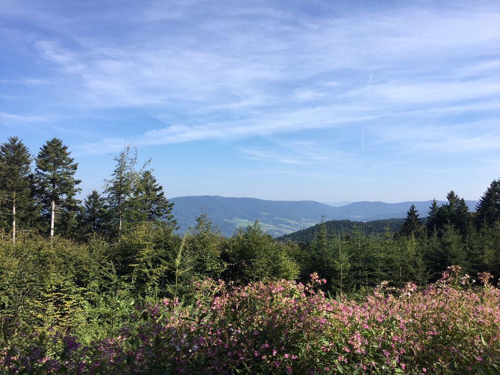 Mattenhof Zell am Harmersbach Exteriör bild